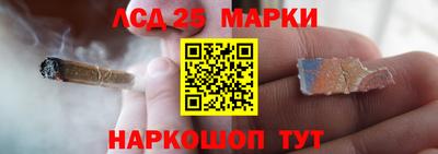 ПСИЛОЦИБИНОВЫЕ ГРИБЫ Новозыбков