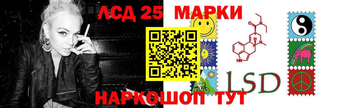 Альфа ПВП Советская Гавань