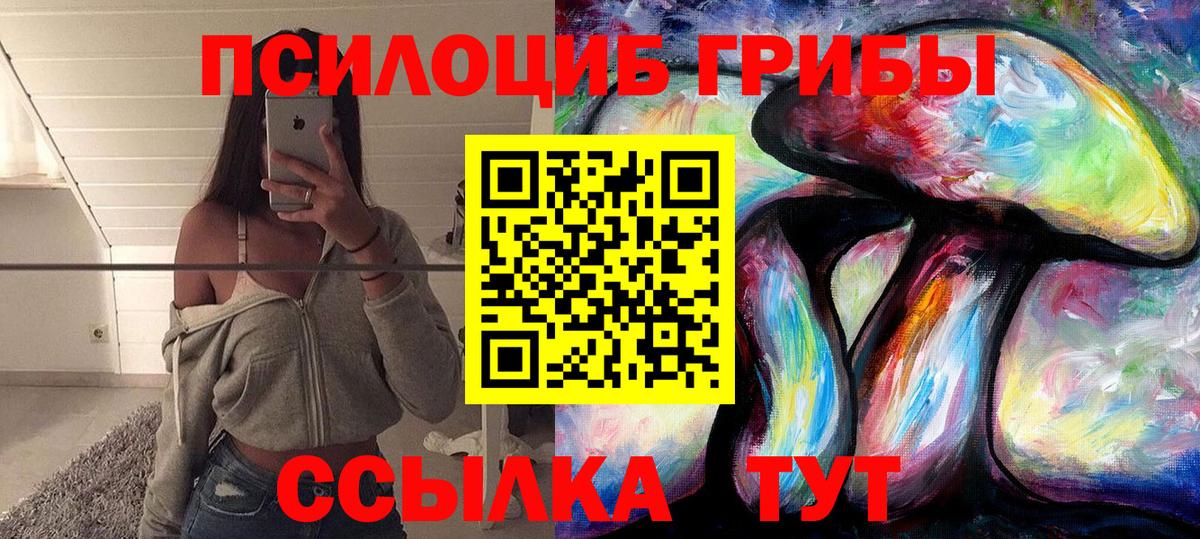 Галлюциногенные грибы Cubensis  Вход с VPN  Советская Гавань 